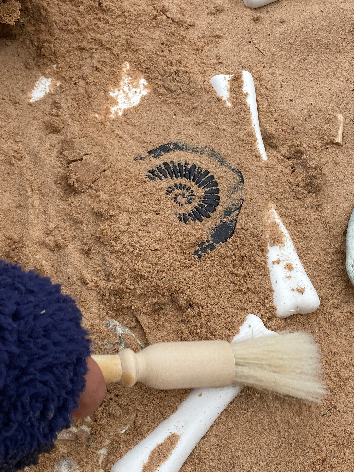 Yellow Door - Dinosaurus botten - Match en meetset 16st.