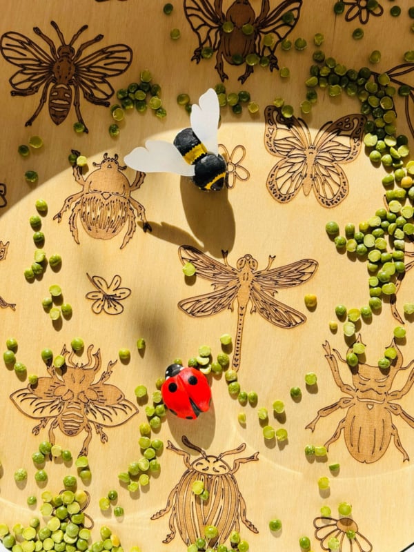 Kiddi Playplate insecten