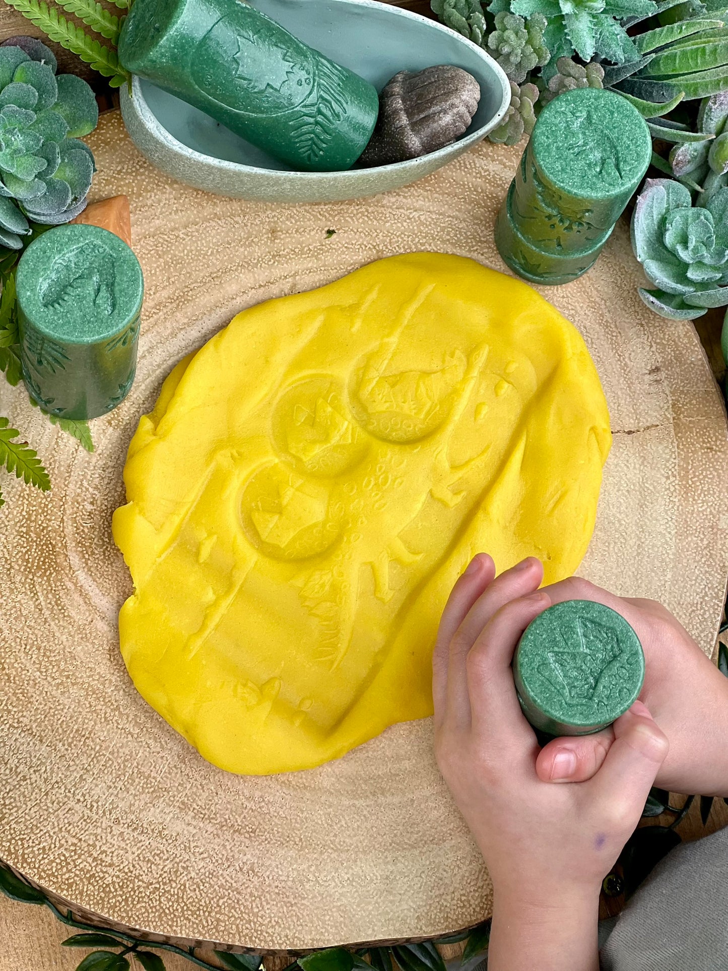 Yellow Door - Rollers - Dinosaurus - 6st.