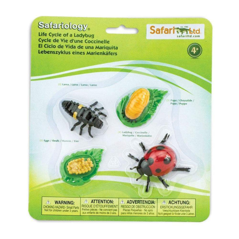 Safari LTD levenscyclus van het lieveheersbeestje