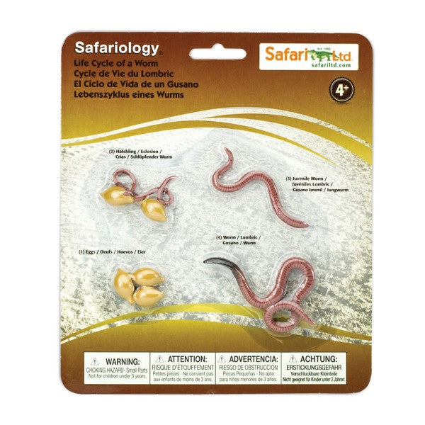 Safari LTD levenscyclus van de regenworm