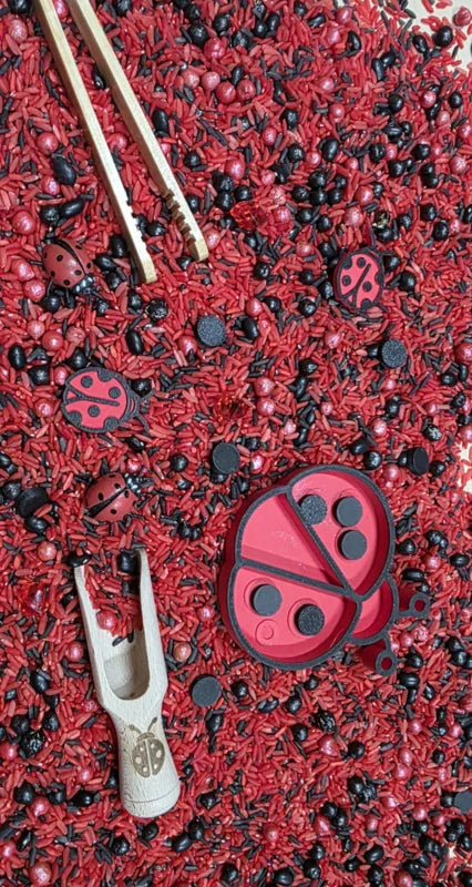 SensoryFun PourAndPlay Ladybugs