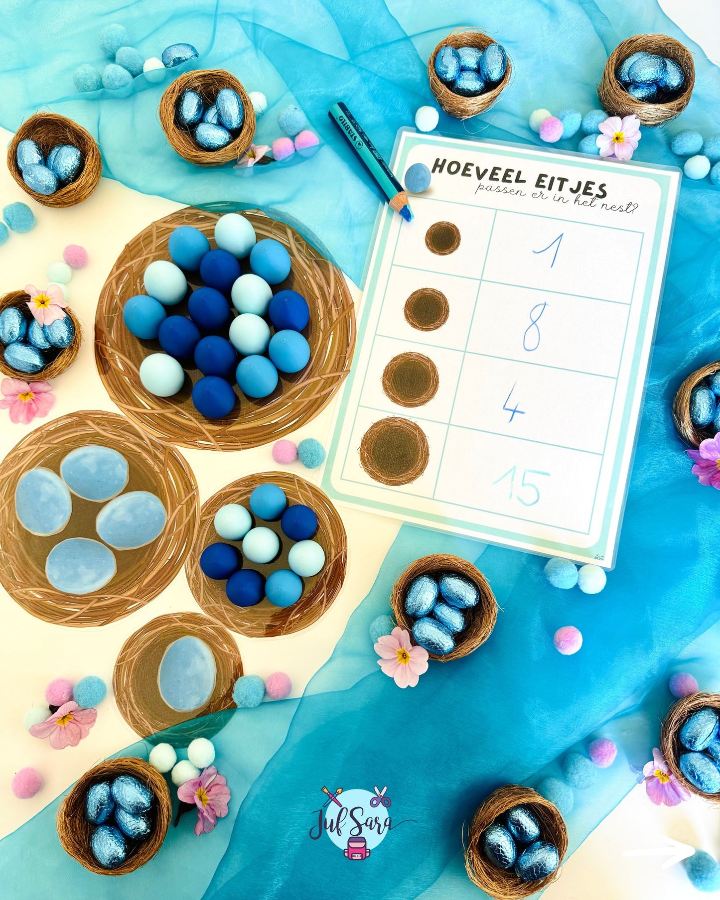 Juf Sara: Bundelproduct Pippa en het vreemde ei - Eitjes 42st.