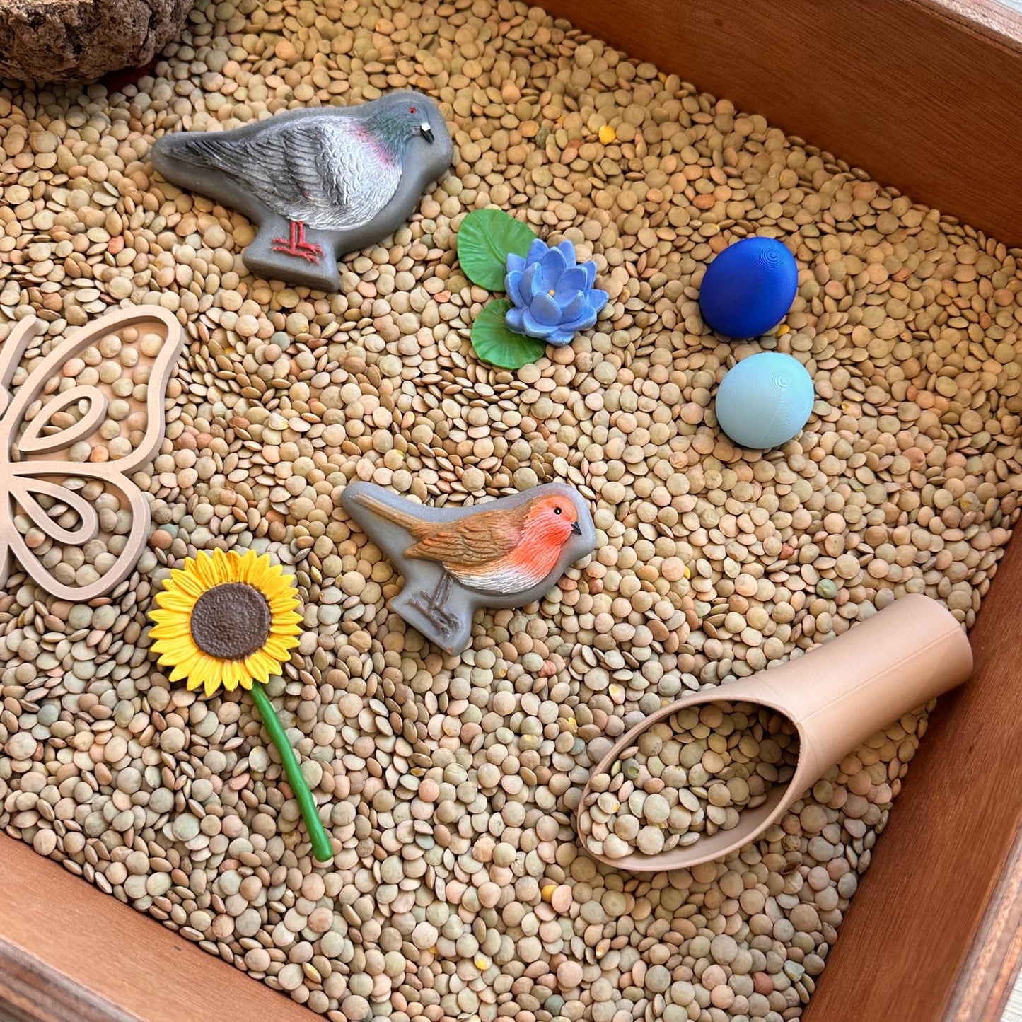 Sensorische box ' De Lente'