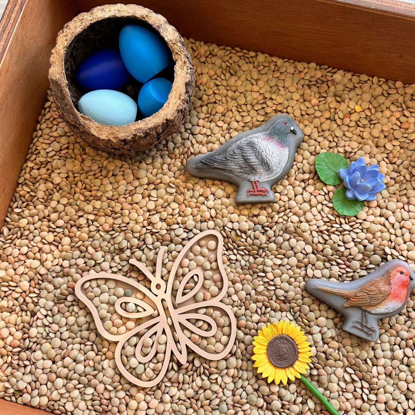 Sensorische box ' De Lente'