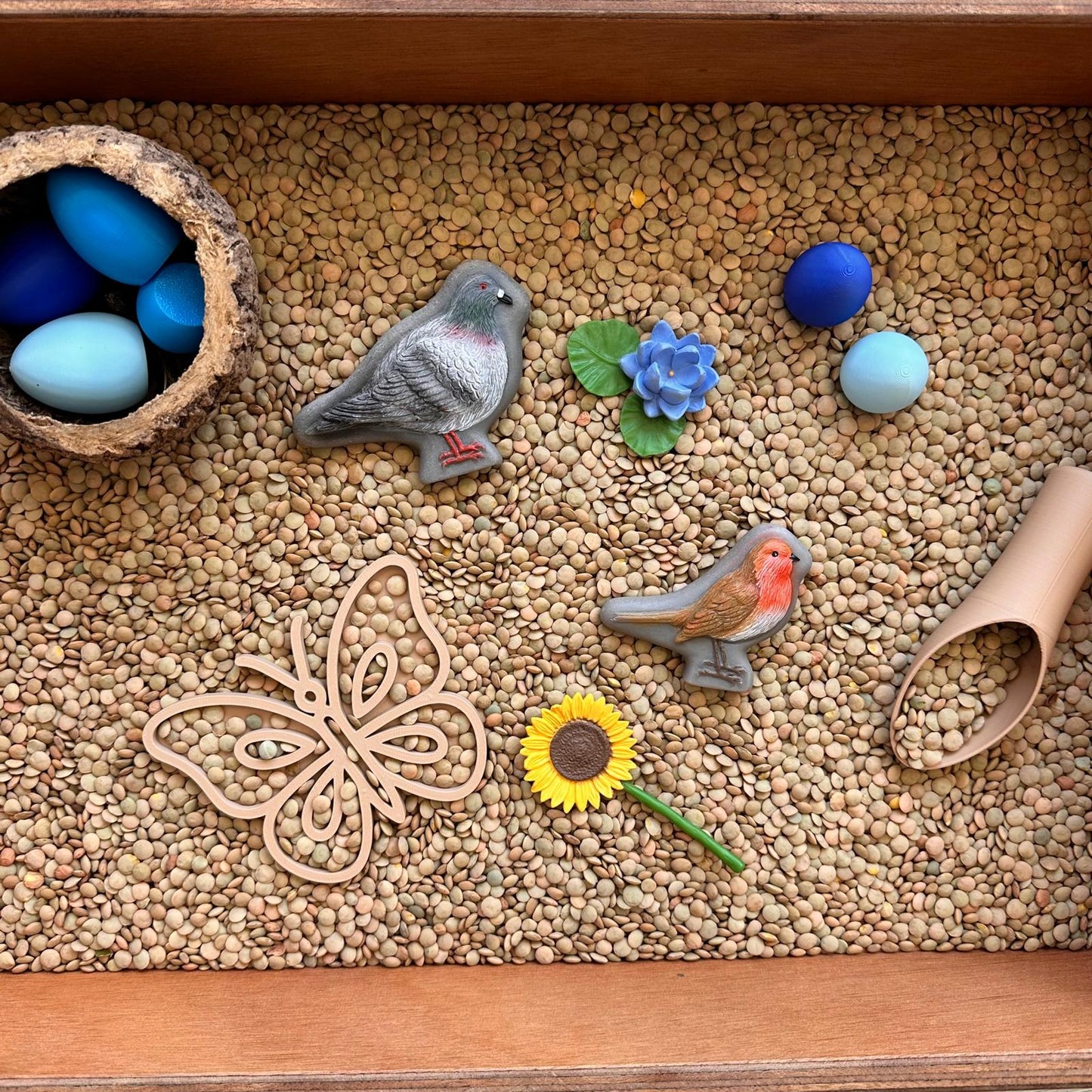 Sensorische box ' De Lente'