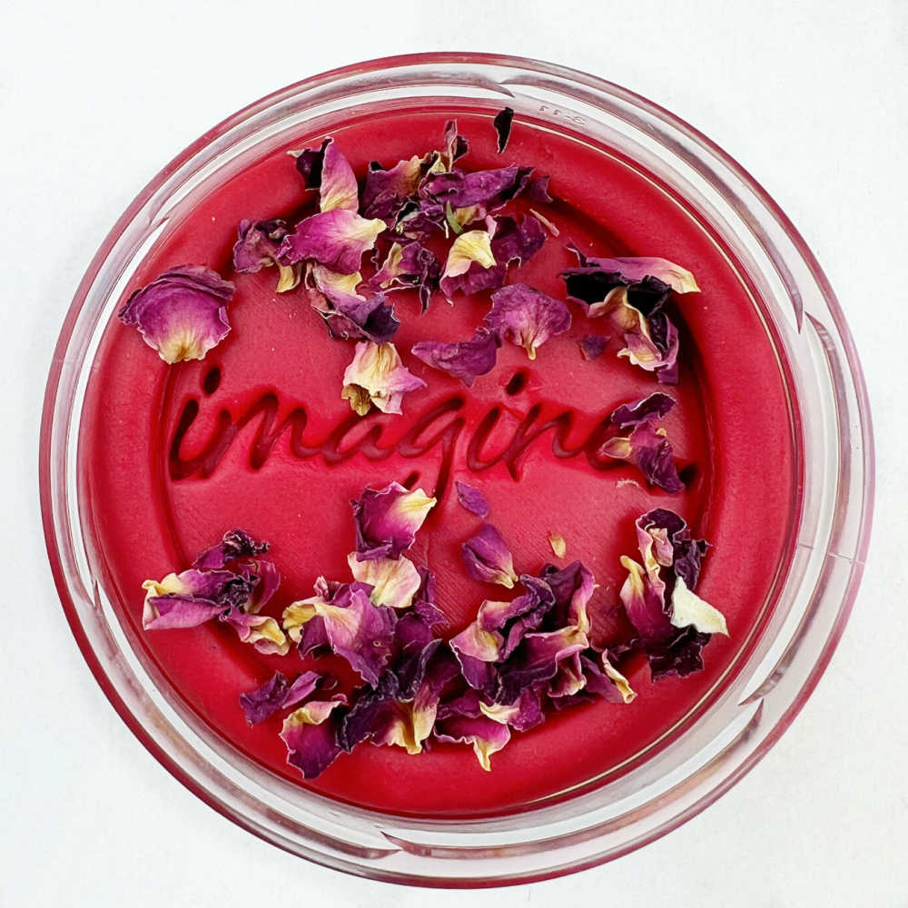 Invitation to imagine speeldeeg red rose