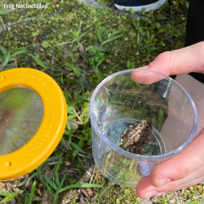 Insectenpotje met vergrootglas