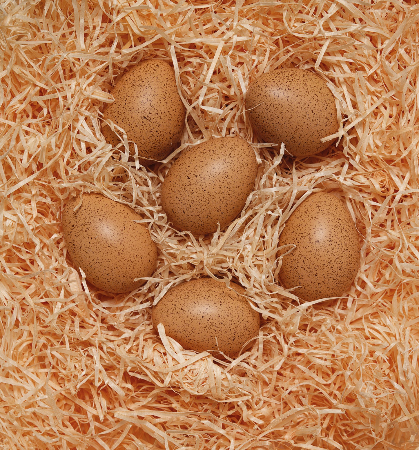 Yellow Door - Sensory Stones - Sensory sound eggs