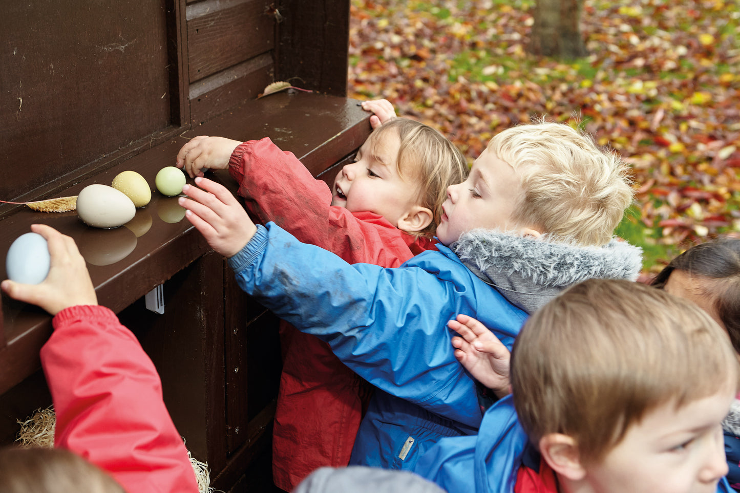 Yellow Door - Sensory Stones - Size sorting eggs 8st.
