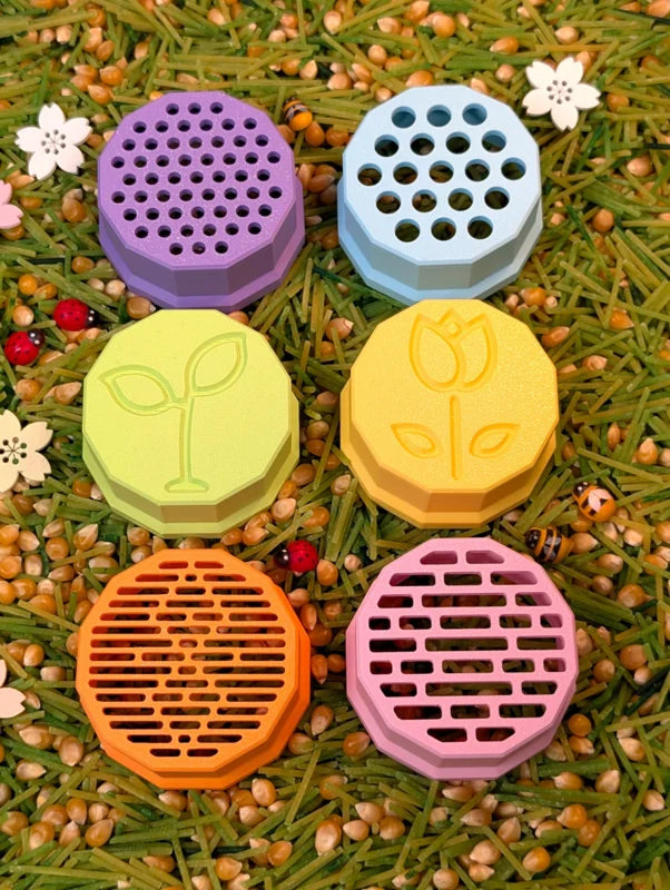 Zeefjesset Spring - Xcreator