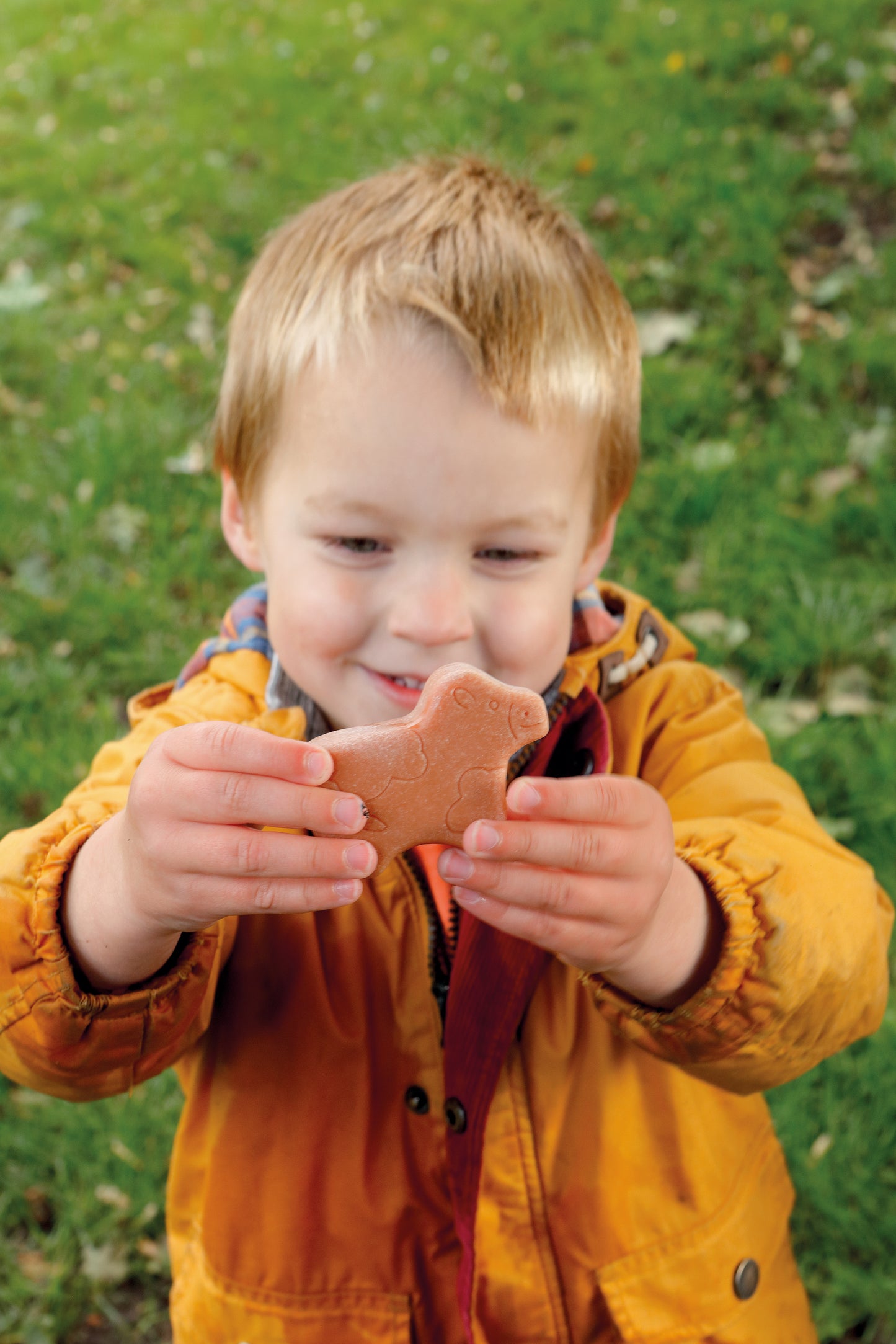 Yellow Door - Sensory Stones - Little lands farmyard