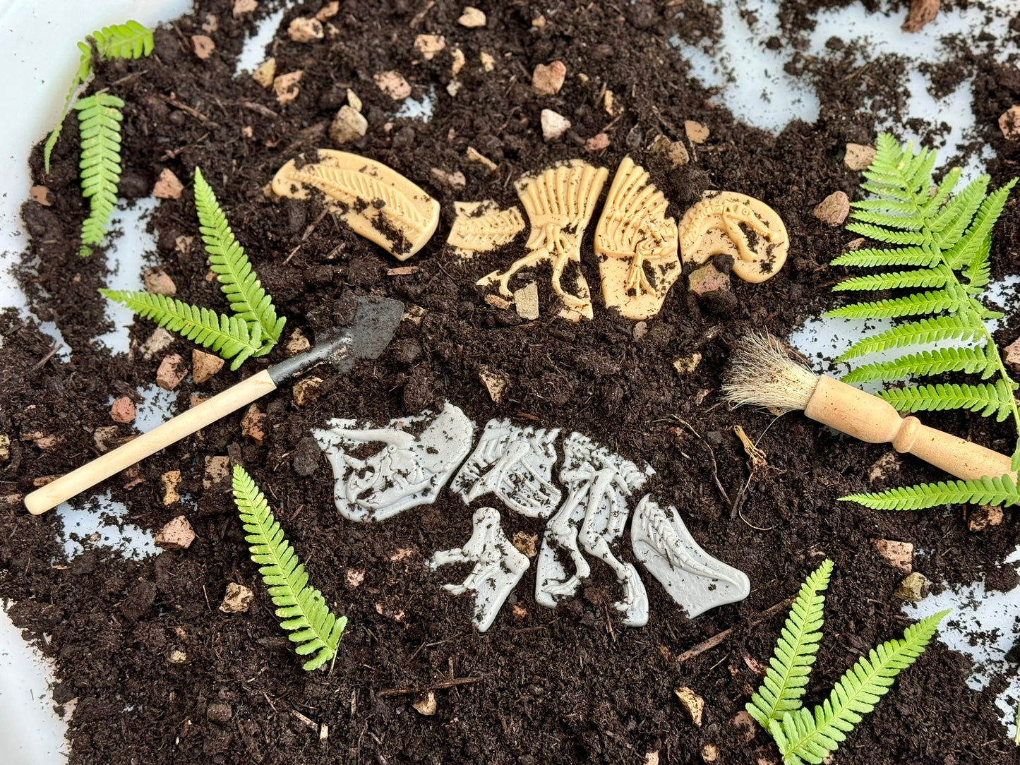 Yellow Door - Graaf en ontdek - Ankylosaurus en Tyrannosaurus rex