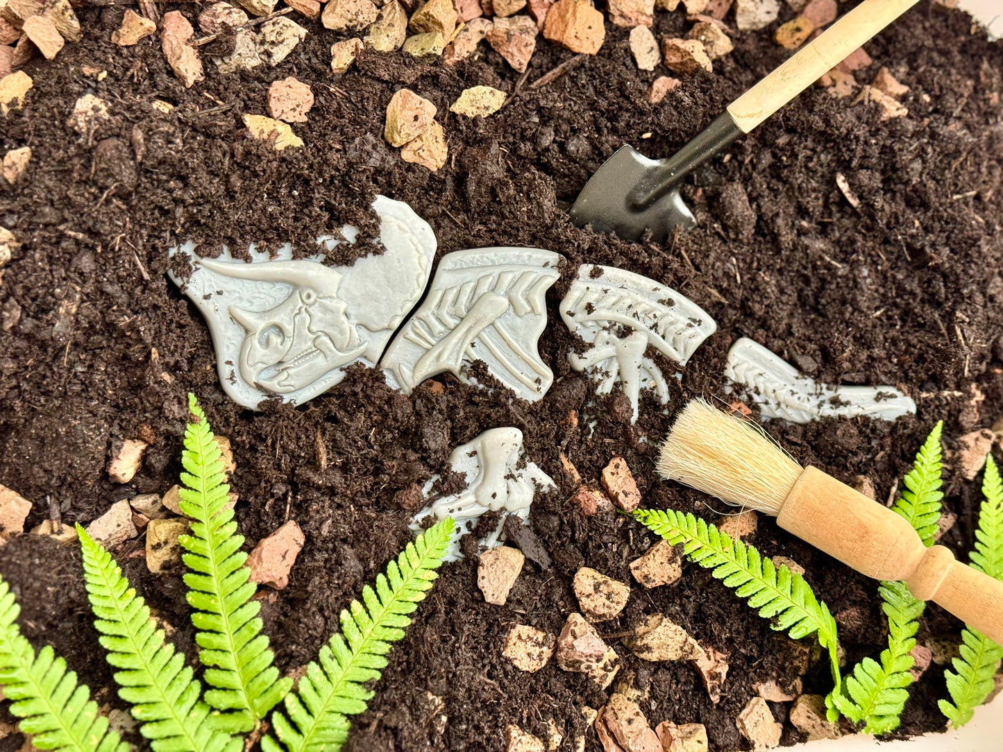 Yellow Door - Graaf en ontdek - Ankylosaurus en Tyrannosaurus rex