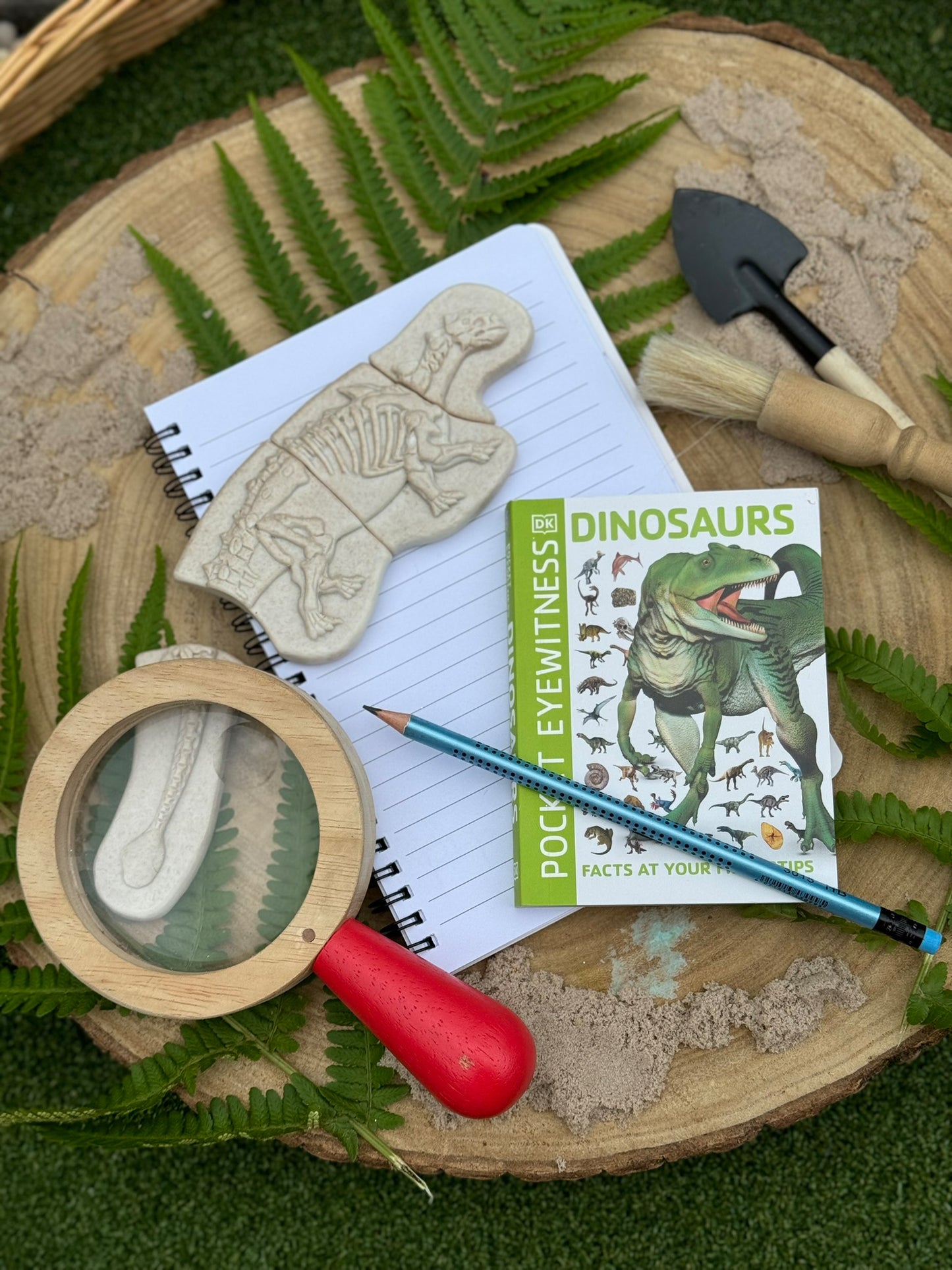 Yellow Door - Graaf en ontdek - Ankylosaurus en Tyrannosaurus rex