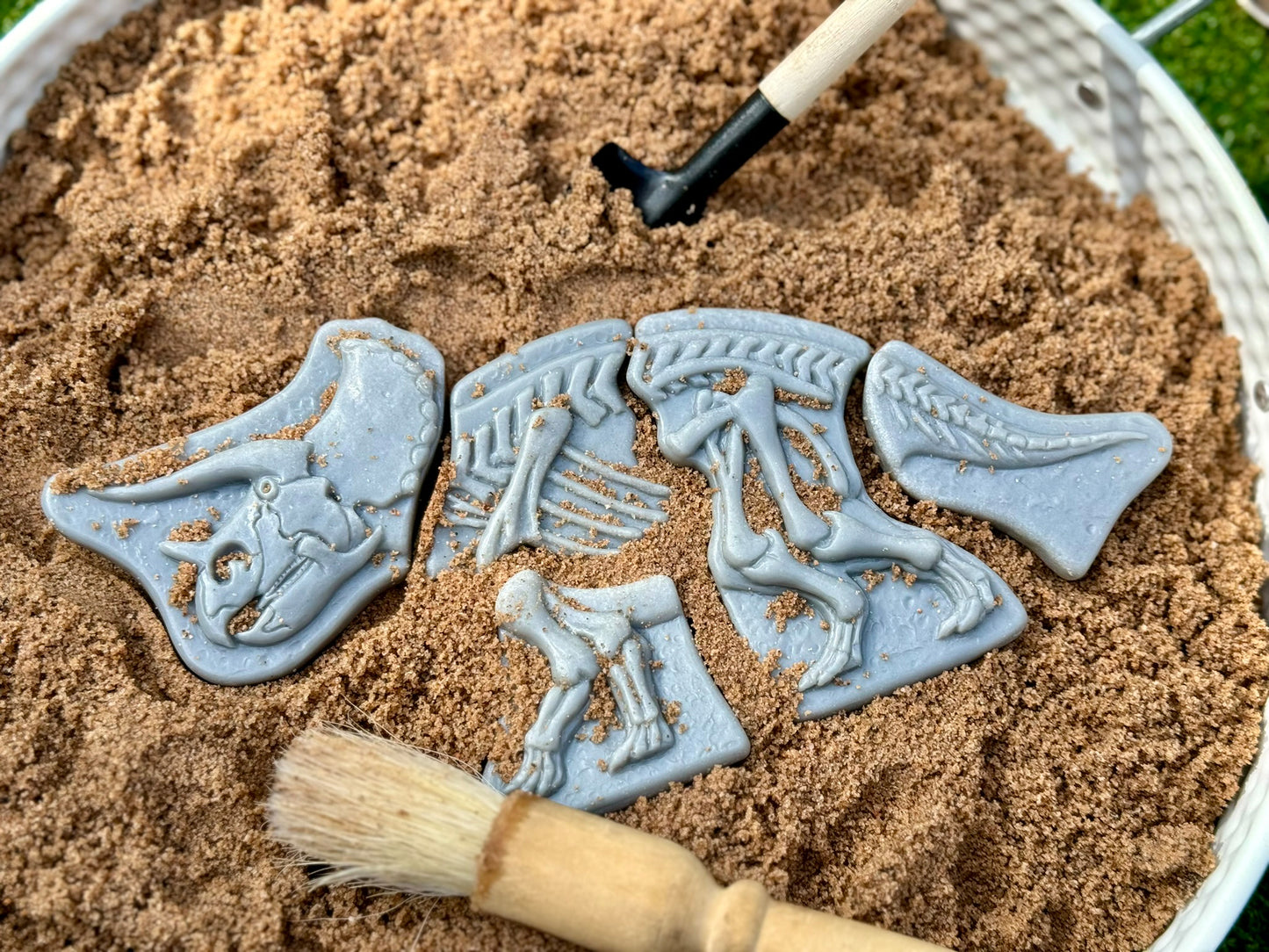 Yellow Door - Graaf en ontdek - Graaf en ontdek – Triceratops en Spinosaurus