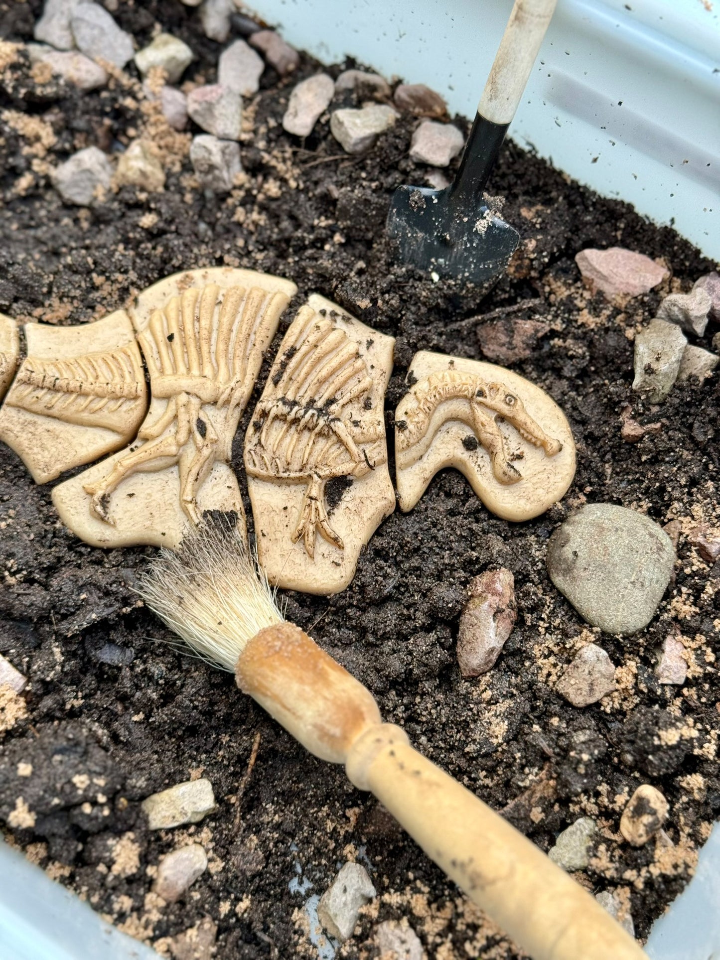 Yellow Door - Graaf en ontdek - Graaf en ontdek – Triceratops en Spinosaurus