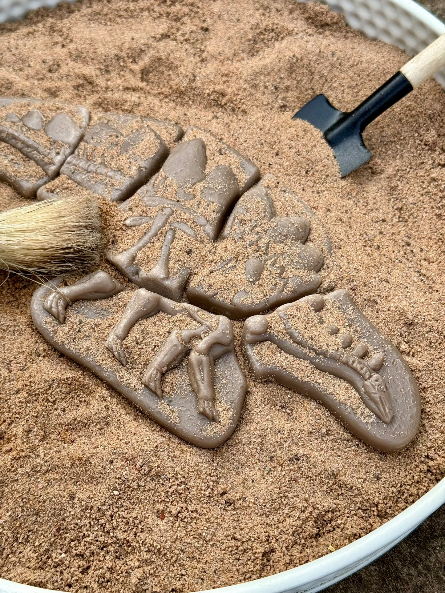 Yellow Door - Graaf en ontdek - Pliosaurus en Stegosaurus