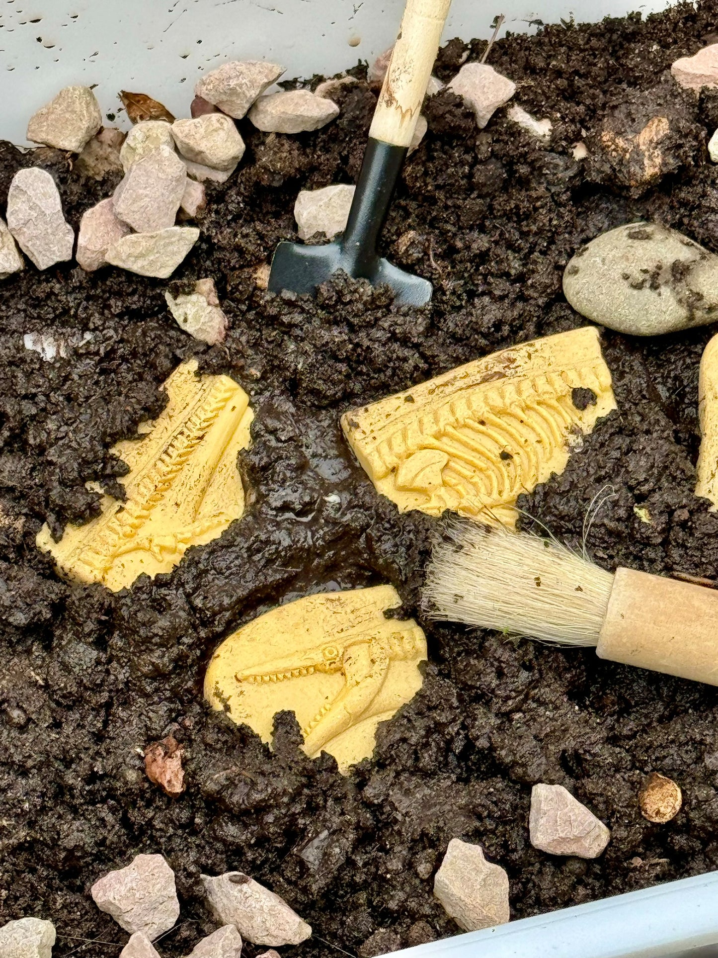 Yellow Door - Graaf en ontdek - Pliosaurus en Stegosaurus