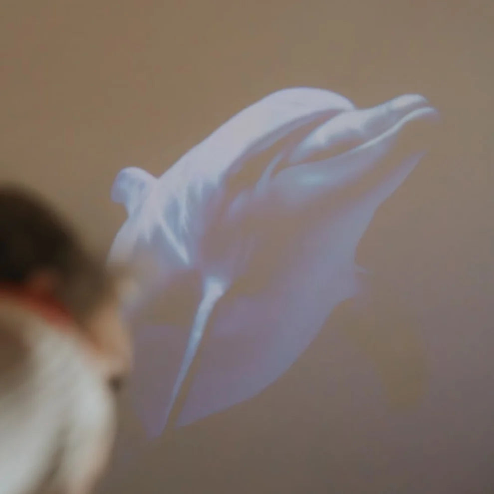 Kidywolf Kidystar | Beeldprojector oceanen en Zeeën