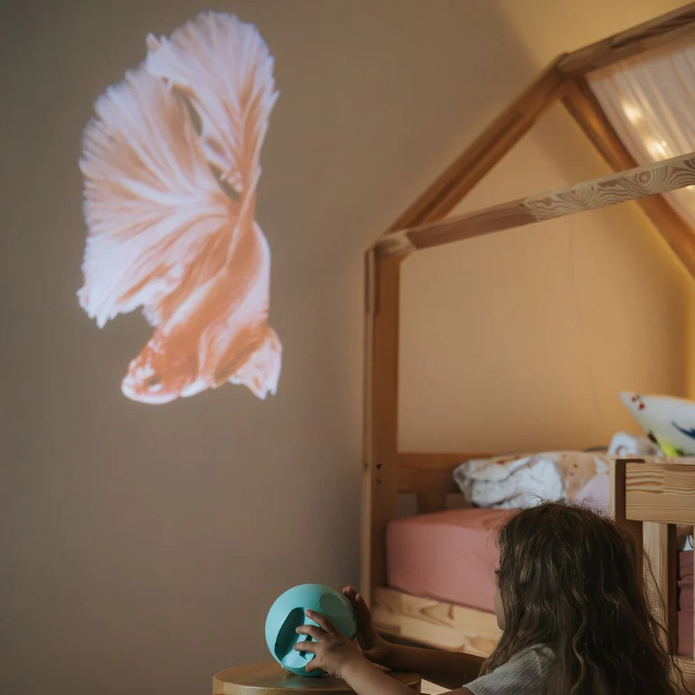 Kidywolf Kidystar | Beeldprojector oceanen en Zeeën