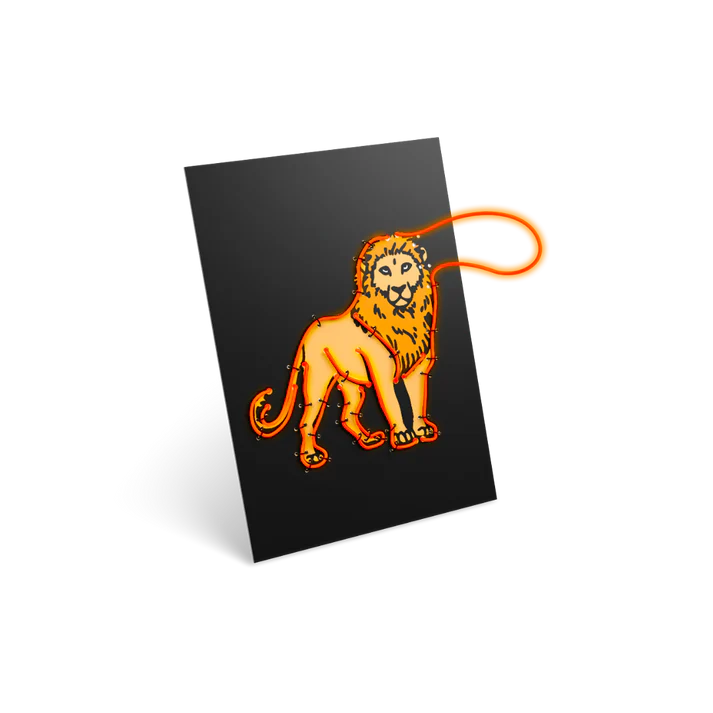 Kidywolf Kidyneon oranje