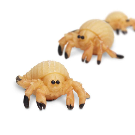 Safari LTD Good luck mini hermiet krab 1st.