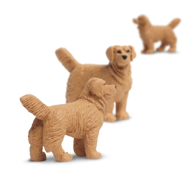 Safari LTD Good luck mini golden retriever 1st.