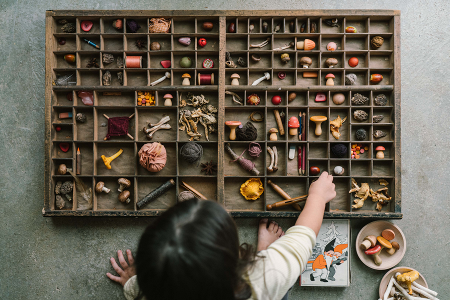 Grapat | Mushroom grove | 18st.