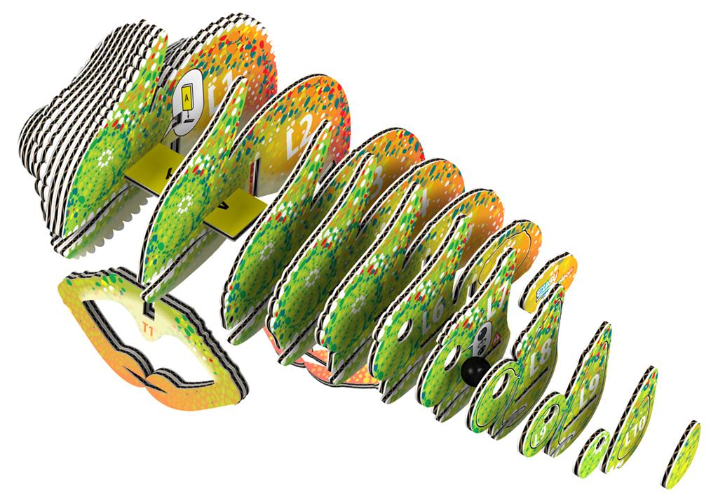 Eugy 3D figuur | Kameleon