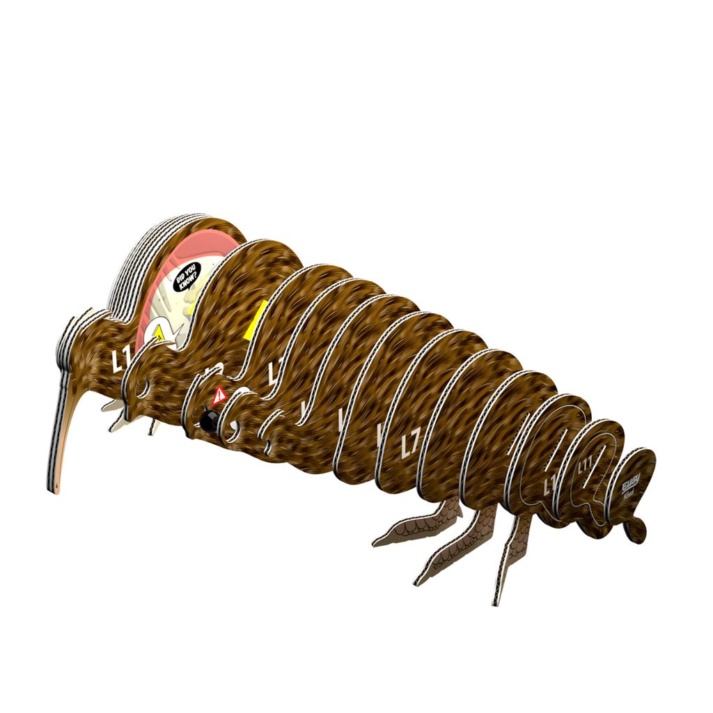 Eugy 3D figuur | Kiwi
