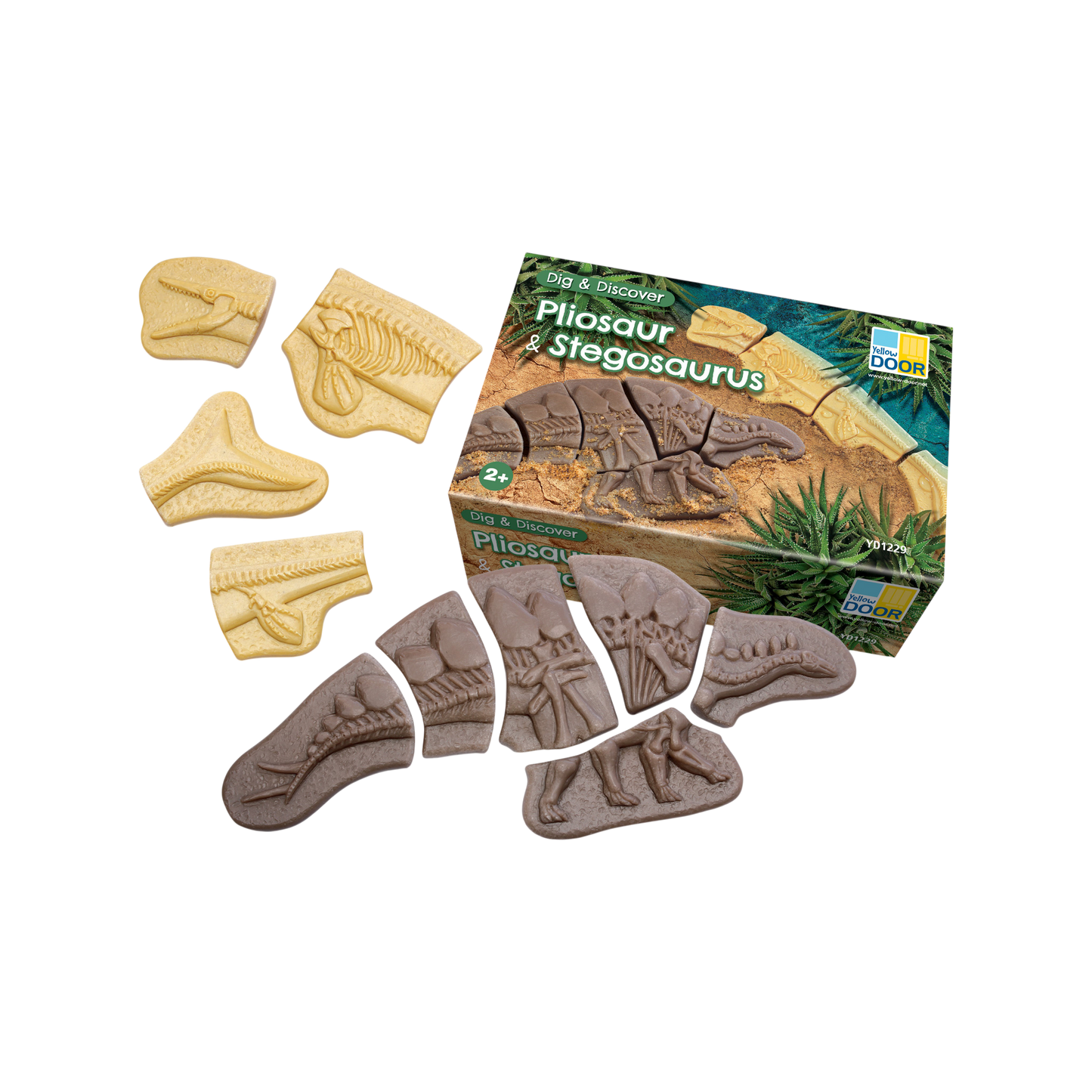 Yellow Door - Graaf en ontdek - Pliosaurus en Stegosaurus