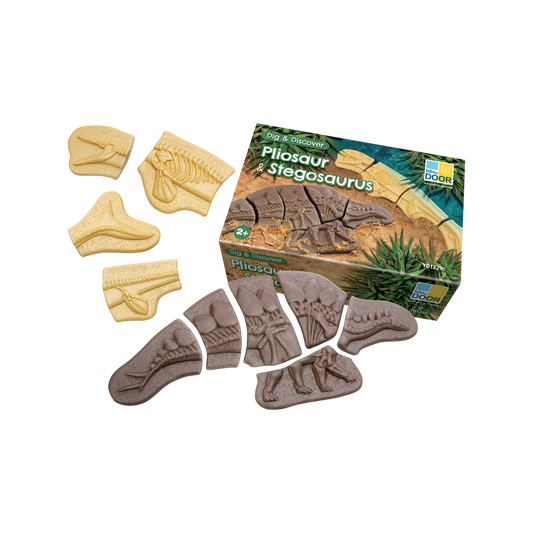 Yellow Door - Graaf en ontdek - Pliosaurus en Stegosaurus