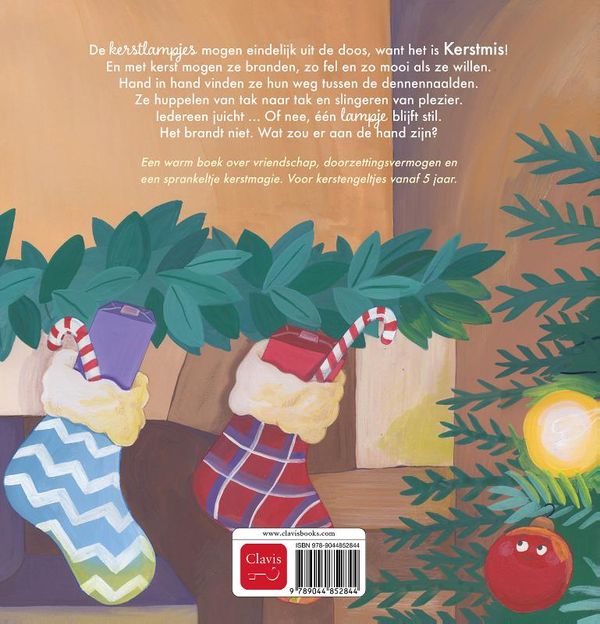 Het Kerstlampje dat niet brandde | Susan Wallenburg