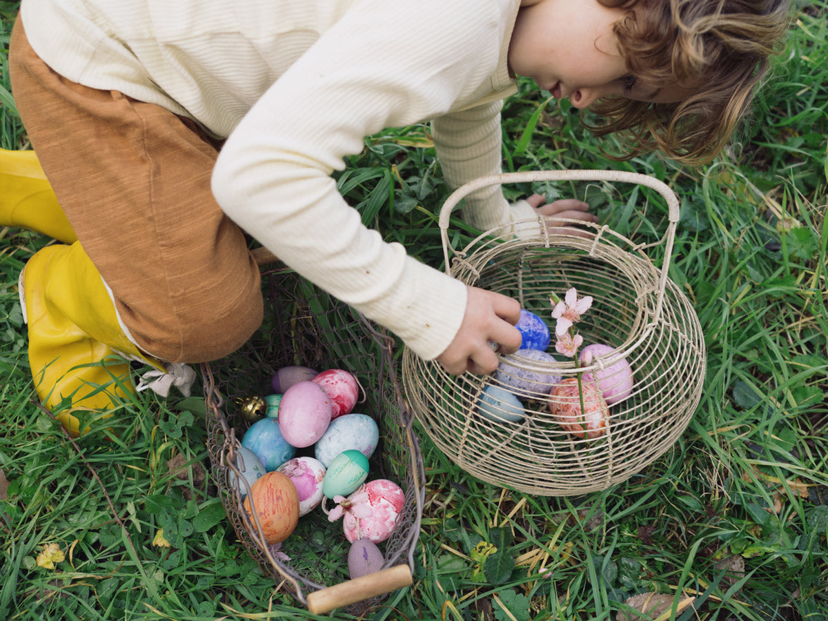 Grapat | Aurora eggs  | 3st.