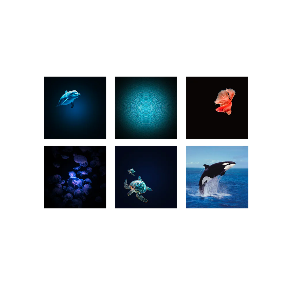 Kidywolf Kidystar | Beeldprojector oceanen en Zeeën