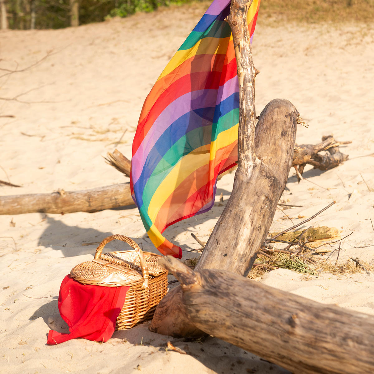 Little Botanic | Playcycle speeldoek medium | Regenboog waves 65cm