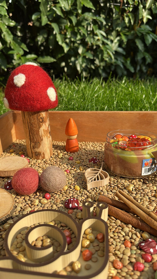 Sensorische box 'de Magie van de herfst'