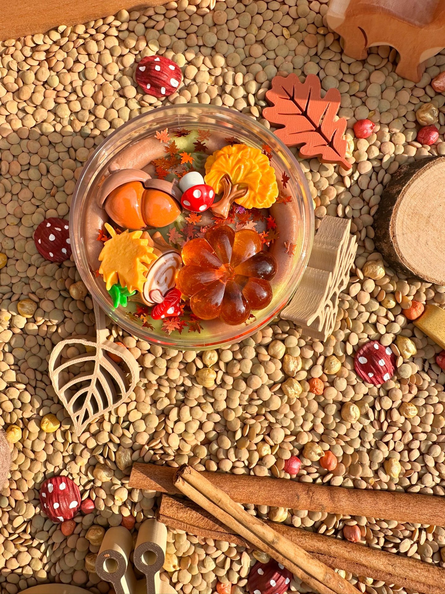 Sensorische box 'de Magie van de herfst'