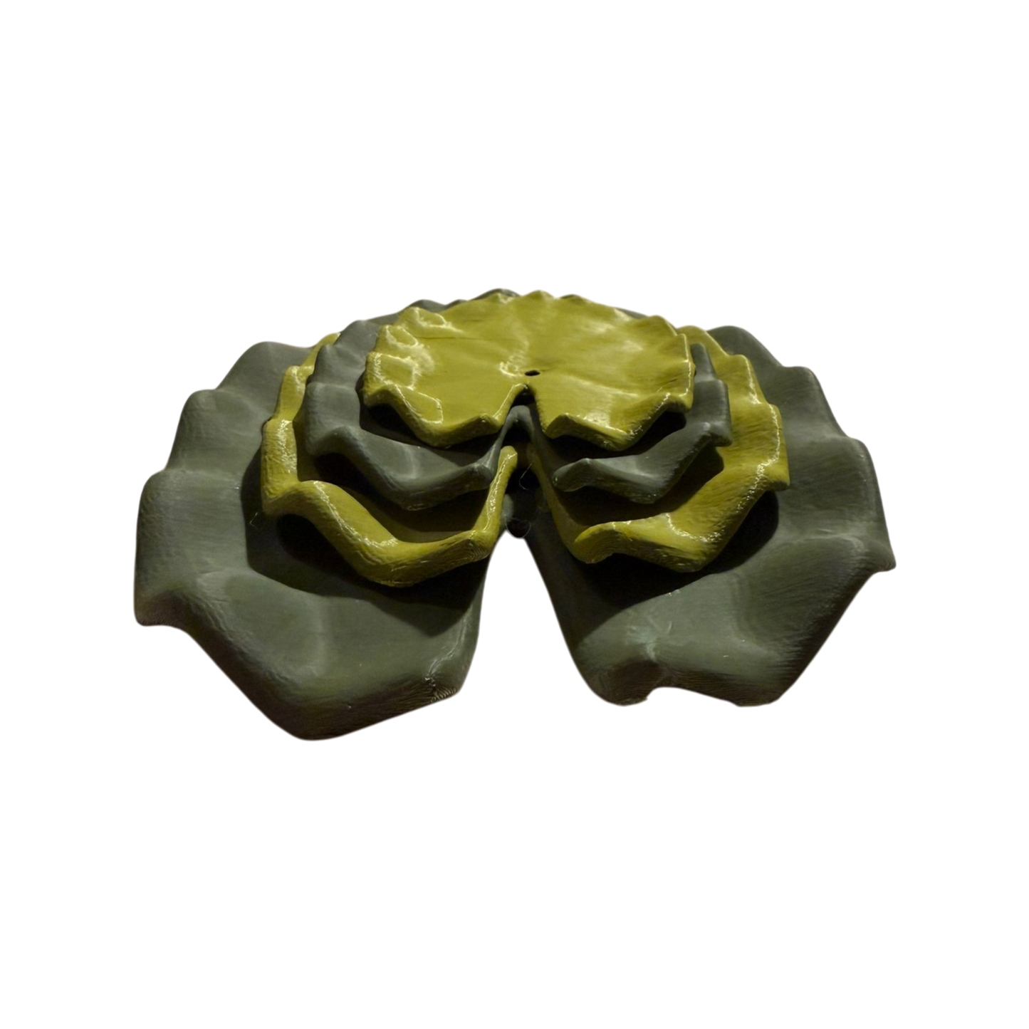 CYW Lelieblaadjes groot 4st.