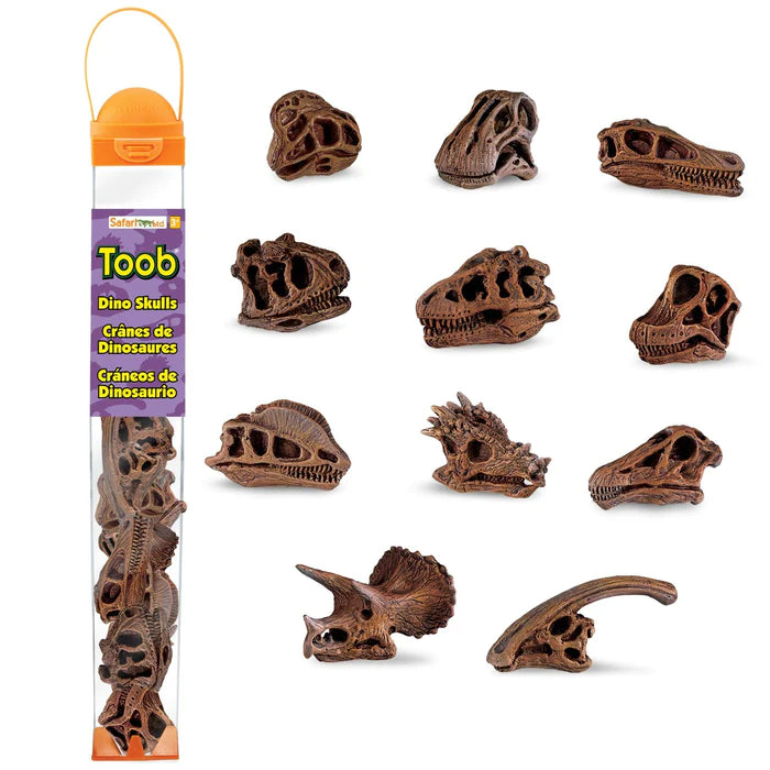 Safari LTD Toob dinosaurusschedels